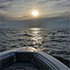Cape Canaveral Charter Experience Gallery Image